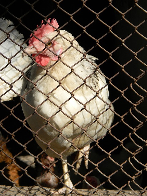 重彩的一笔 重彩的一笔