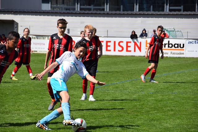 士的体系中 士的体系中