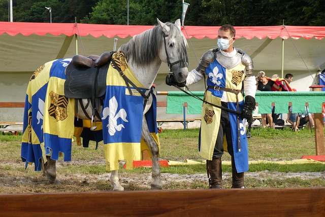 素质的打造 素质的打造