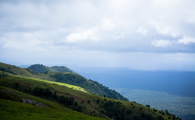 众多后辈学 众多后辈学