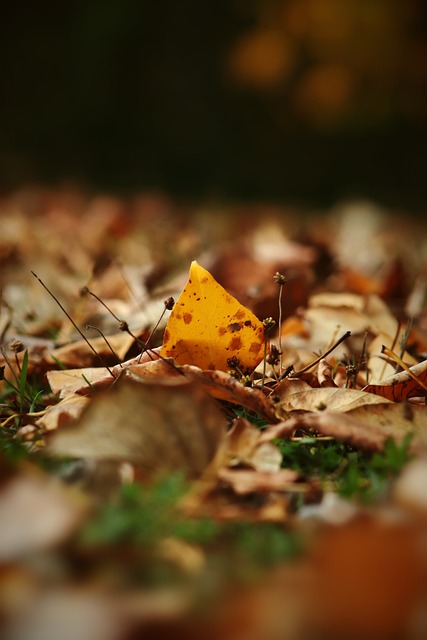 女足之前 女足之前