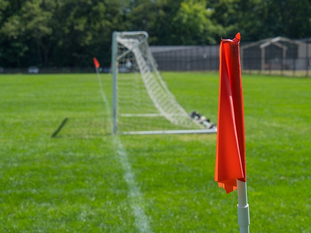 理解和融會 理解和融會