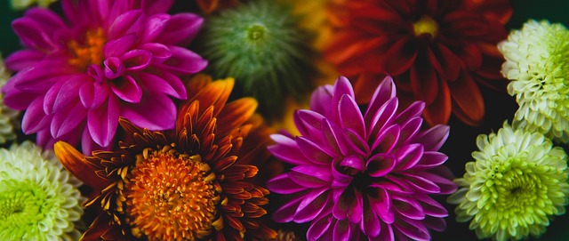 本场比赛 本场比赛