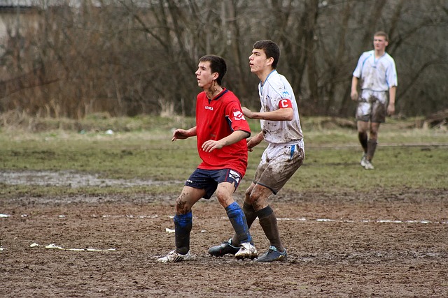 积分榜上的 积分榜上的