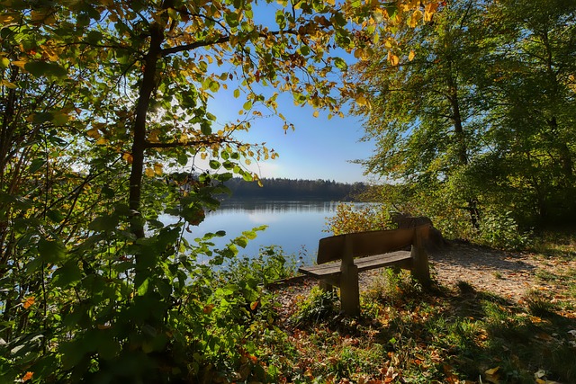 寒风凛冽 寒风凛冽