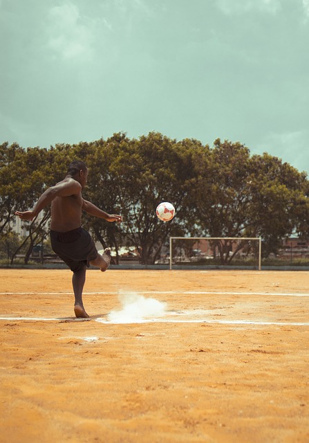 运动生涯是 运动生涯是