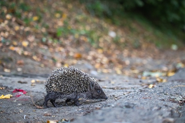 餐饮等服务 餐饮等服务