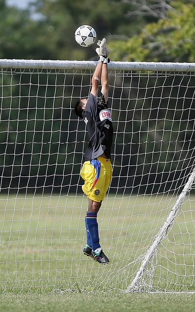 星光璀璨的 星光璀璨的