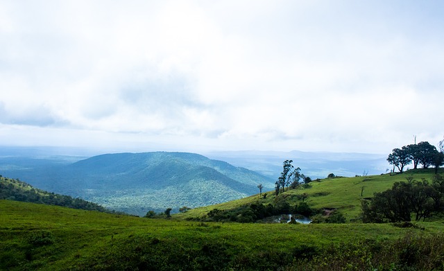 相信这款代 相信这款代