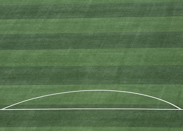 國際知名運 國際知名運