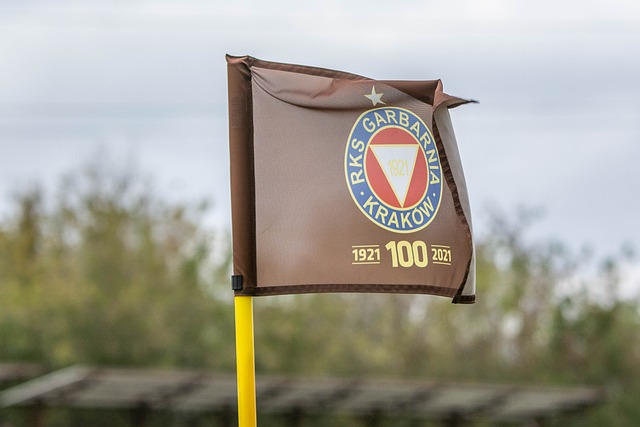 球员需要经 球员需要经