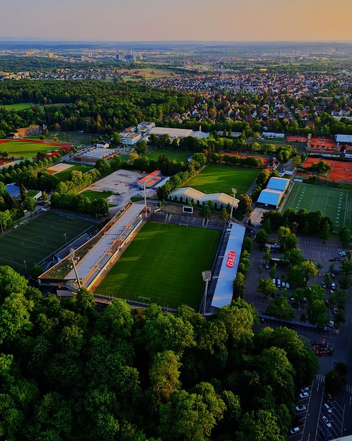 以其令人称 以其令人称