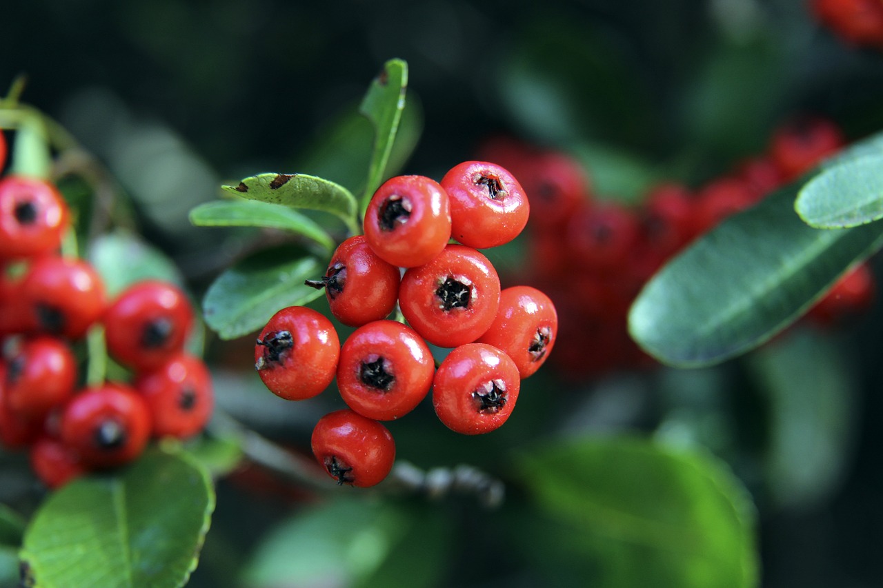 提提库的突 提提库的突