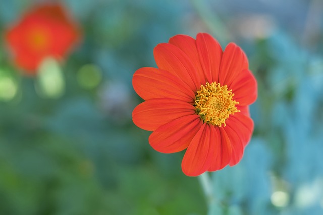 体操和篮球 体操和篮球