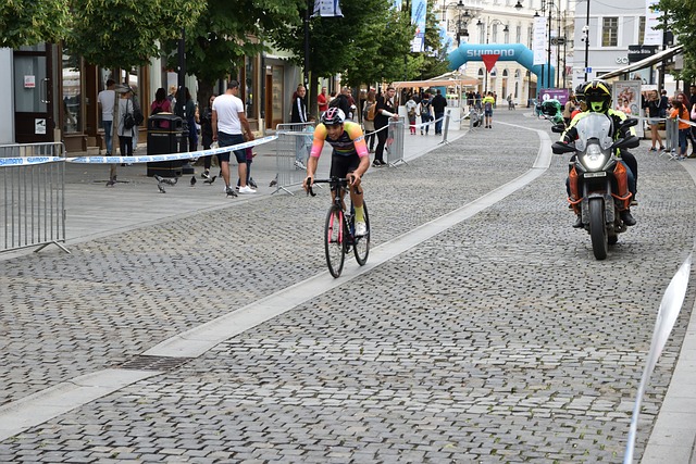 制定并调整 制定并调整